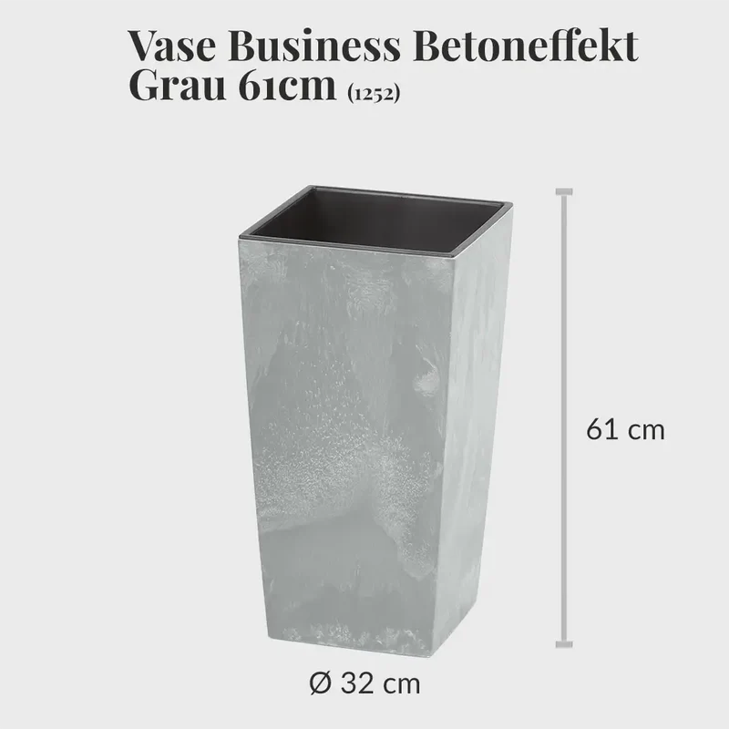 Palettenset InStyle-Betonoptik: 6XL Büropflanzen in Hydrokultur