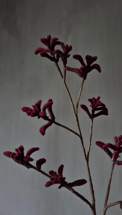 Kangoeroepoot kunstbloem bordeauxrood - 85 cm