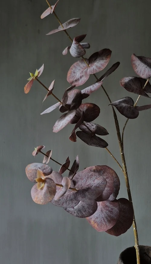 Eucalyptus kunsttak bordeauxrood - 85 cm