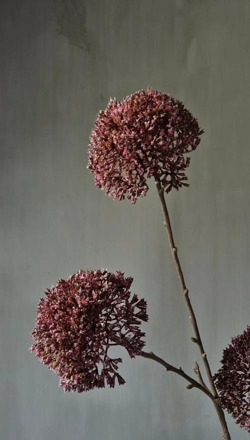 Allium kunsttak bordeauxrood - 78 cm