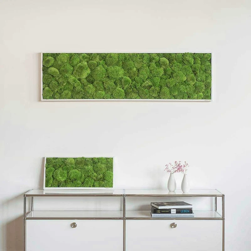 Moosbild Ballenmoos 140x40 cm