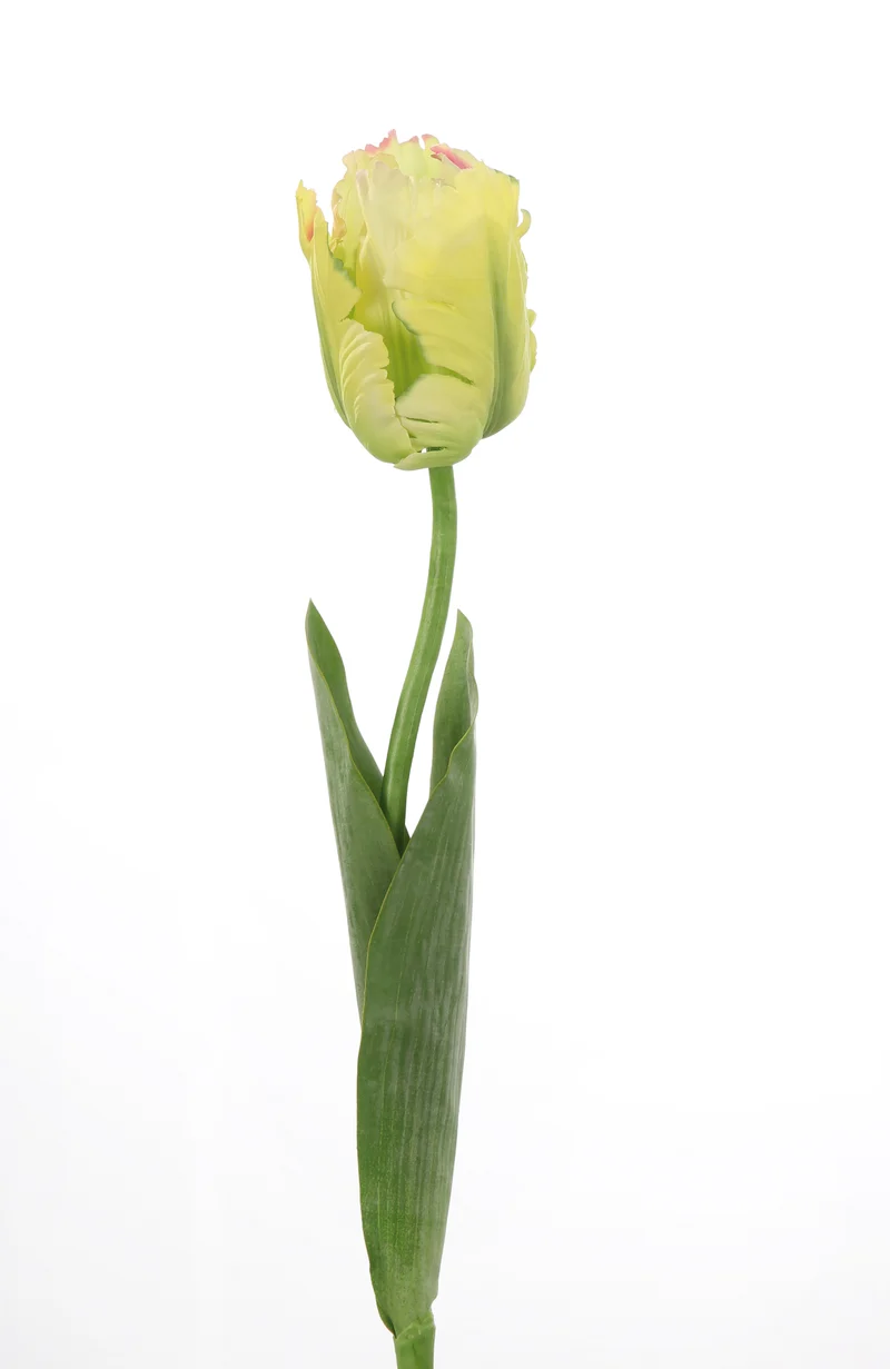 Deko Papageientulpe “Francy” (Grün)