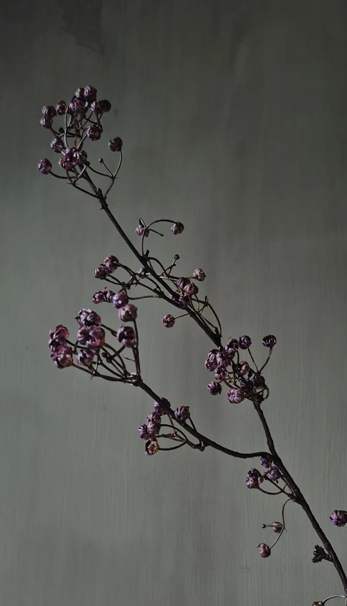 Gipskruid kunsttak bordeaux paars - 78 cm
