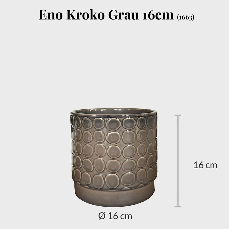 2er Übertopfset 2S Eno Kroko