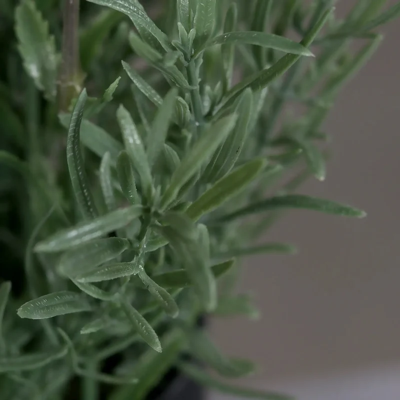 Künstlicher Lavendel - Ibo |31 cm