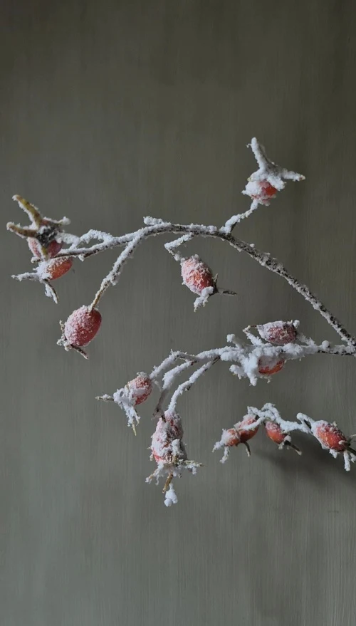 Rozenbottel kunsttak oranje met sneeuw - 75 cm