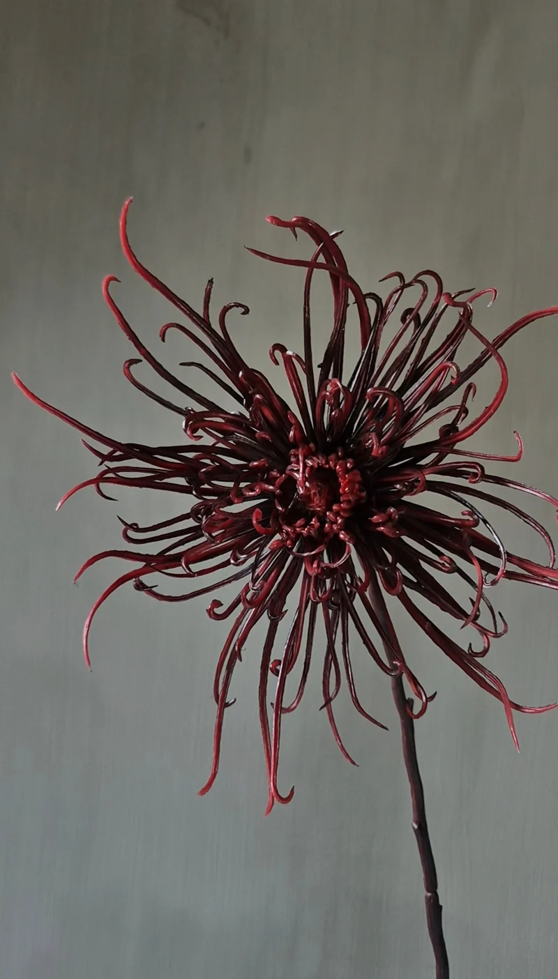 Spinchrysant kunsttak bordeauxrood - 75 cm