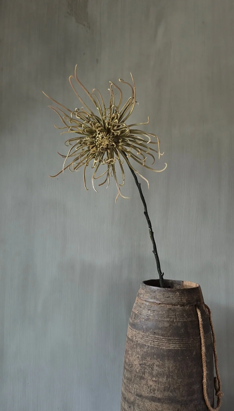 Pre-order Spinchrysant kunsttak naturel - 75 cm