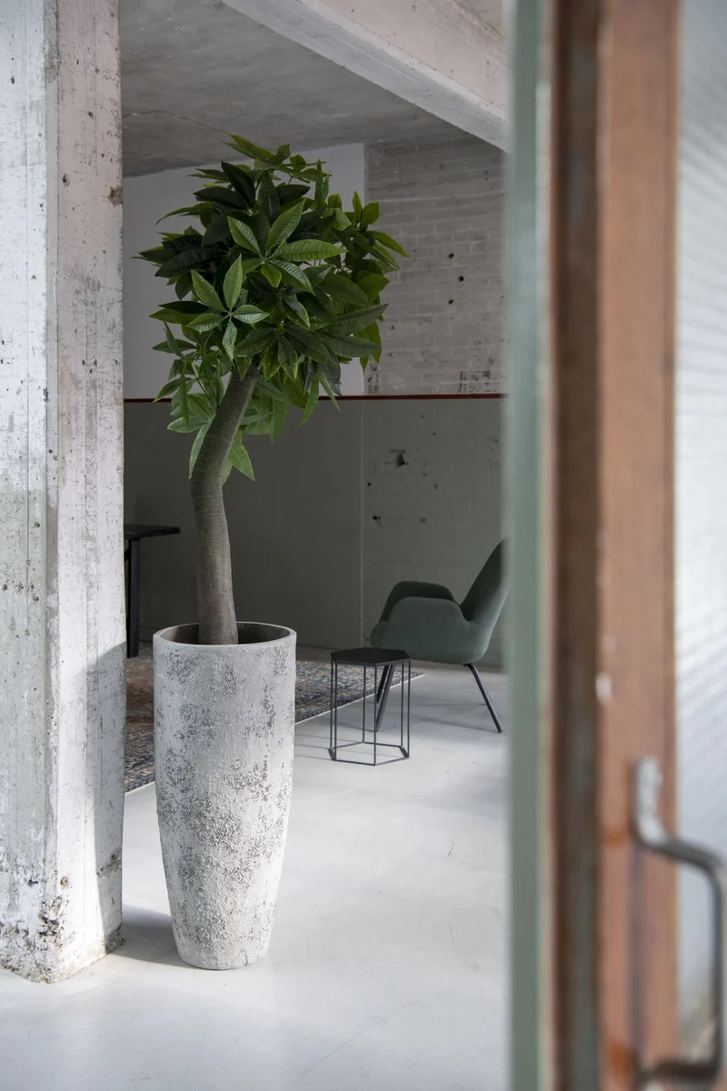 Pflanzkübel Dax Oyster Weiß, Bodenvase in Austernschalen-Optik
