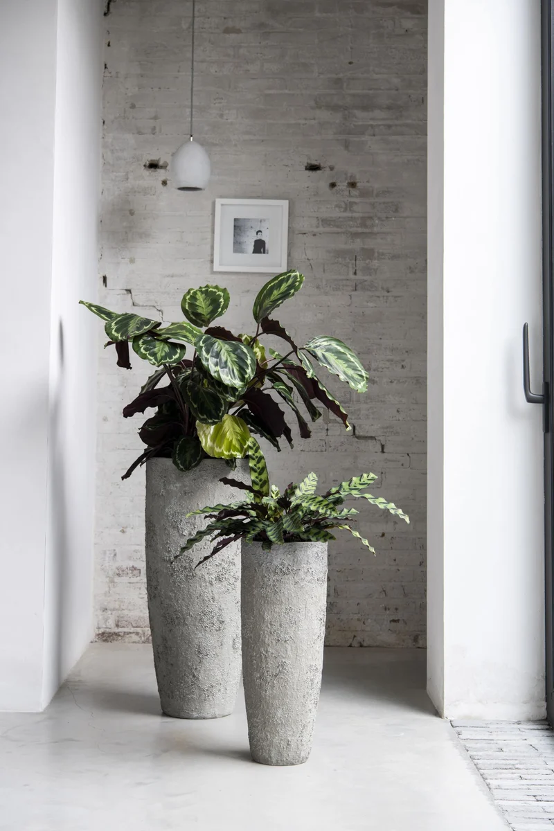 Pflanzkübel Dax Oyster Weiß, Bodenvase in Austernschalen-Optik