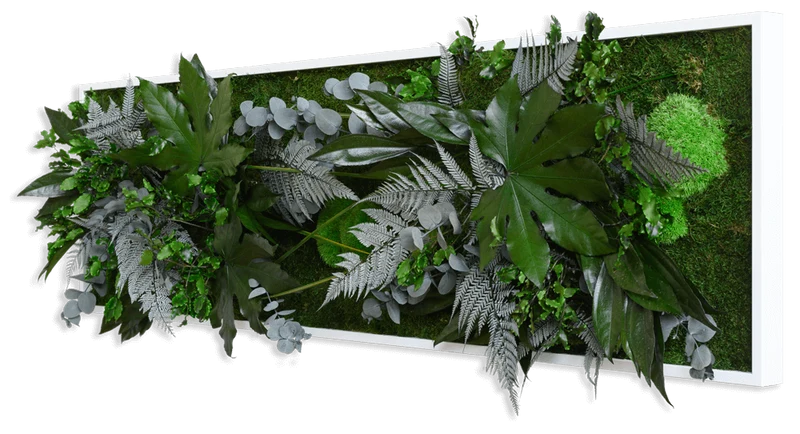 Pflanzenbild im Dschungeldesign, weißer Rahmen 40x140 cm
