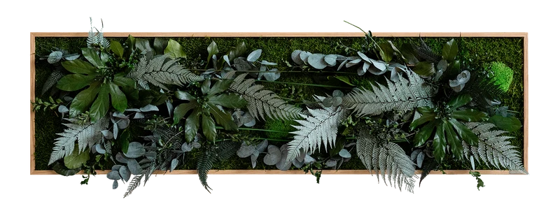 Pflanzenbild im Dschungeldesign, weißer Rahmen 40x140 cm