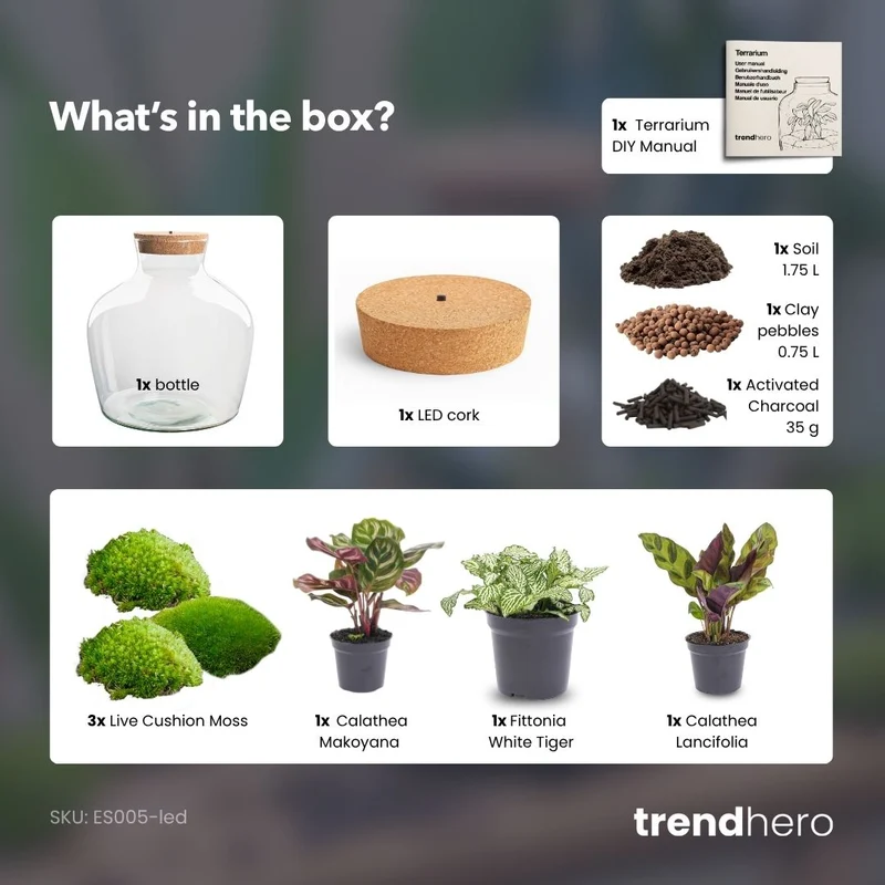 Fat Joe - Terrarium with light - Bottle garden DIY kit - Ø 29 cm ↑ 30 cm