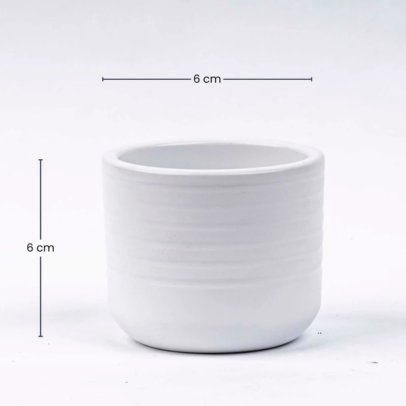 Donny - Mini Plant Pot - White - Ø 6 cm ↑ 6 cm