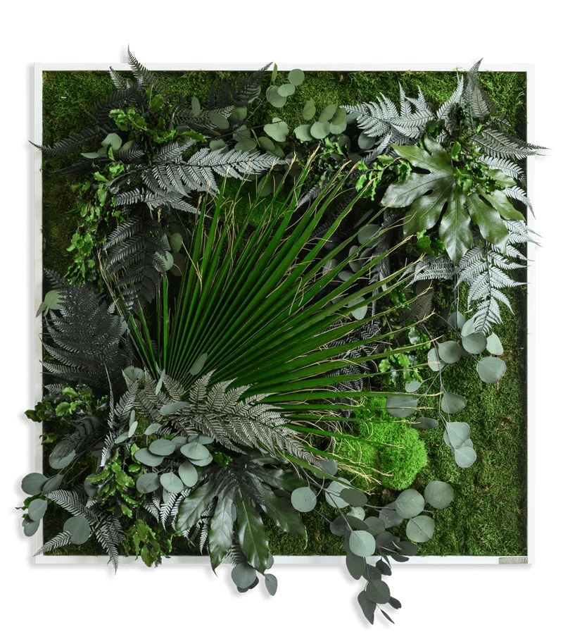 Pflanzenbild im Dschungeldesign, weißer Rahmen 80x80 cm
