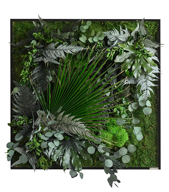 Pflanzenbild im Dschungeldesign, weißer Rahmen 80x80 cm