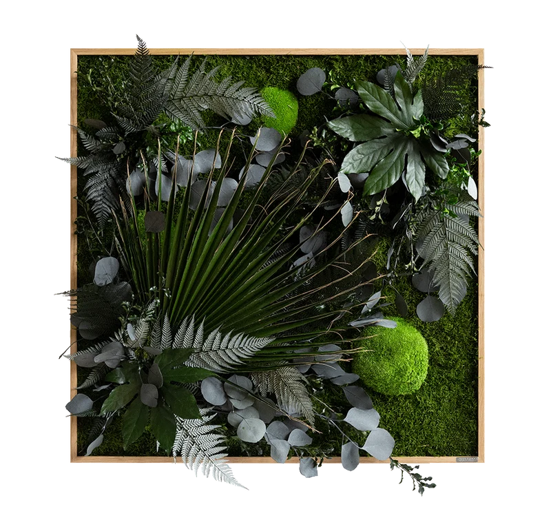 Pflanzenbild im Dschungeldesign, weißer Rahmen 80x80 cm