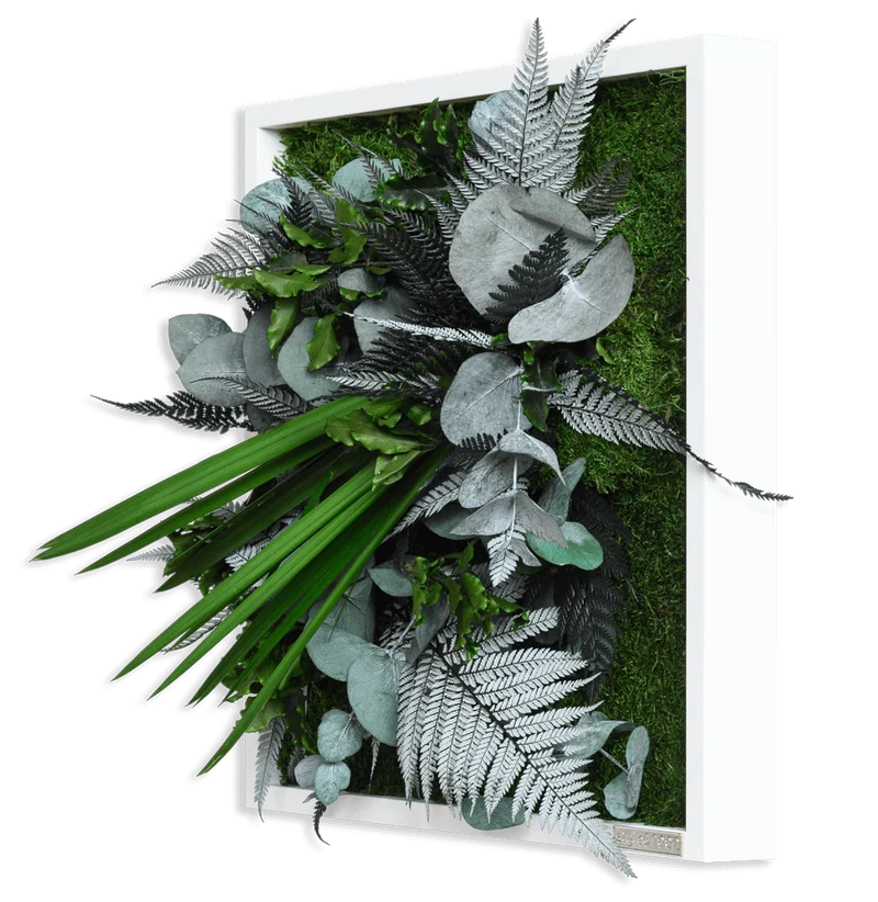 Pflanzenbild im Dschungeldesign, weißer Rahmen 35x35 cm