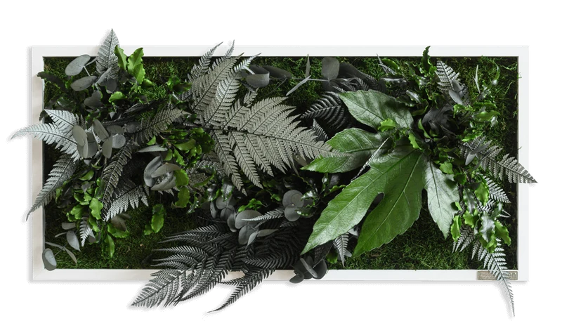Pflanzenbild im Dschungeldesign, weißer Rahmen 27x57 cm