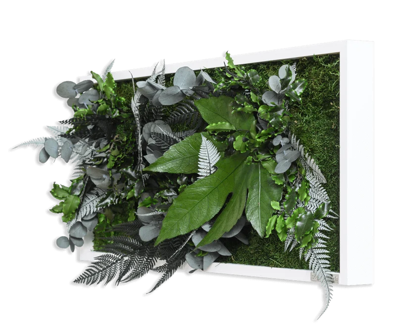 Pflanzenbild im Dschungeldesign, weißer Rahmen 27x57 cm