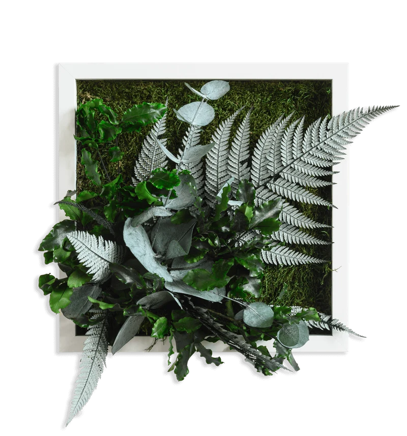 Pflanzenbild im Dschungeldesign, weißer Rahmen 22x22 cm