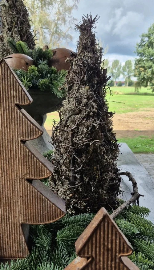 Mos bonsai boompje grijs met tillandsia - 55 cm