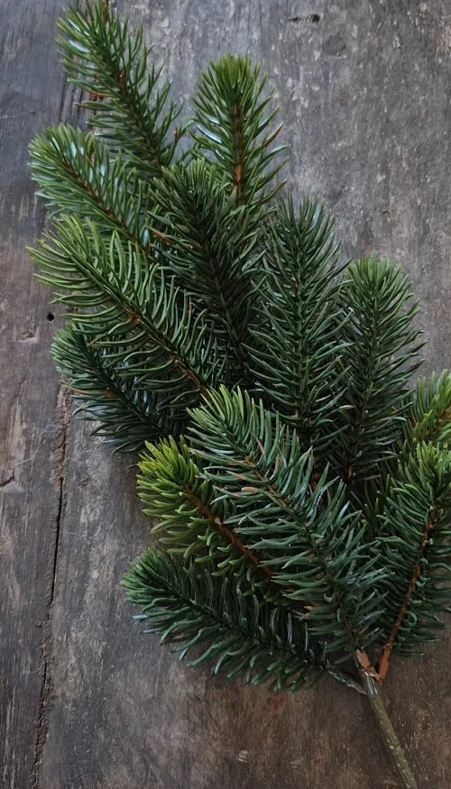 Pinus kunsttak - 50 cm