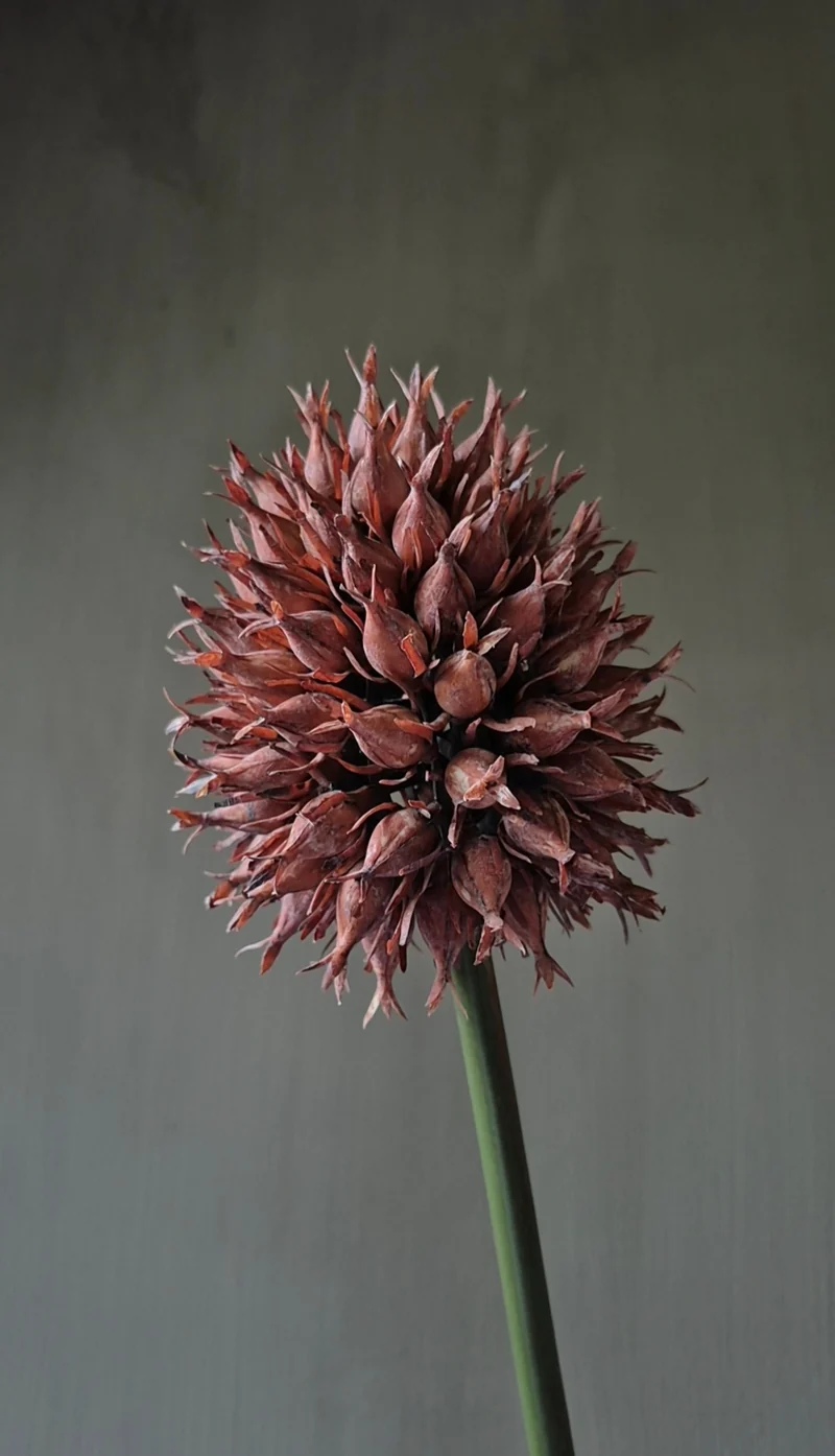 Pineapple kunsttak roestbruin 67 cm - bol Ø10 cm
