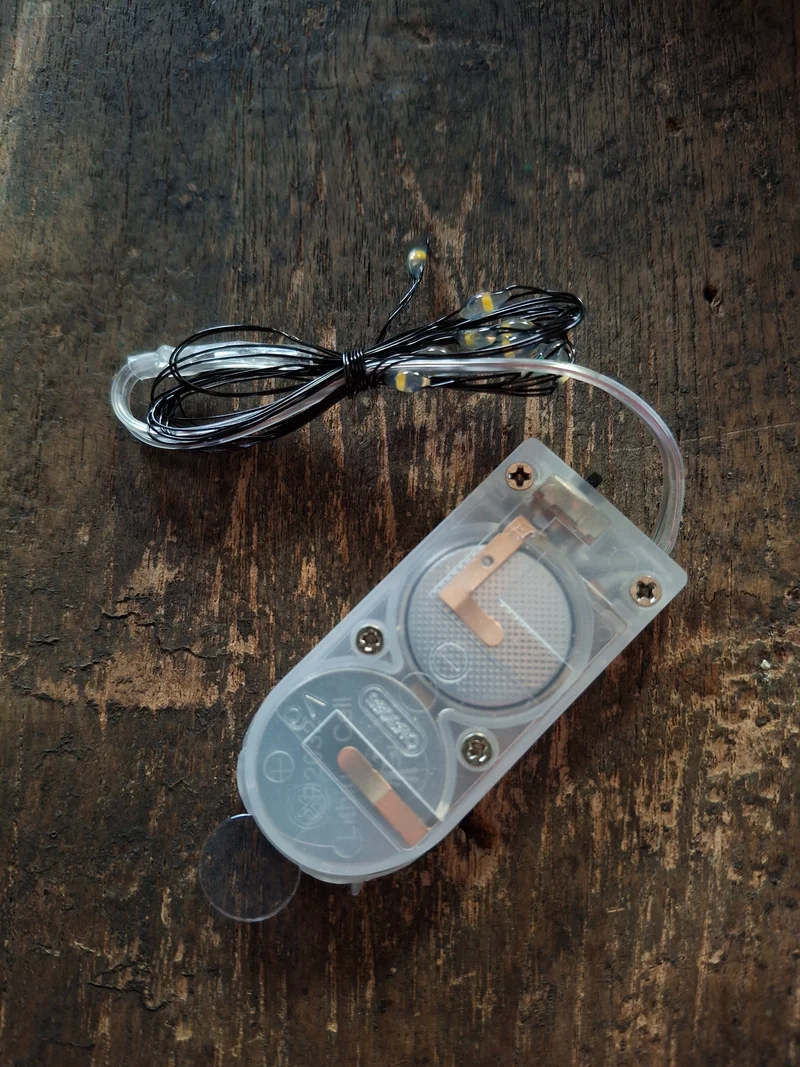Zwart lichtsnoer - 100 cm - 10 LEDs
