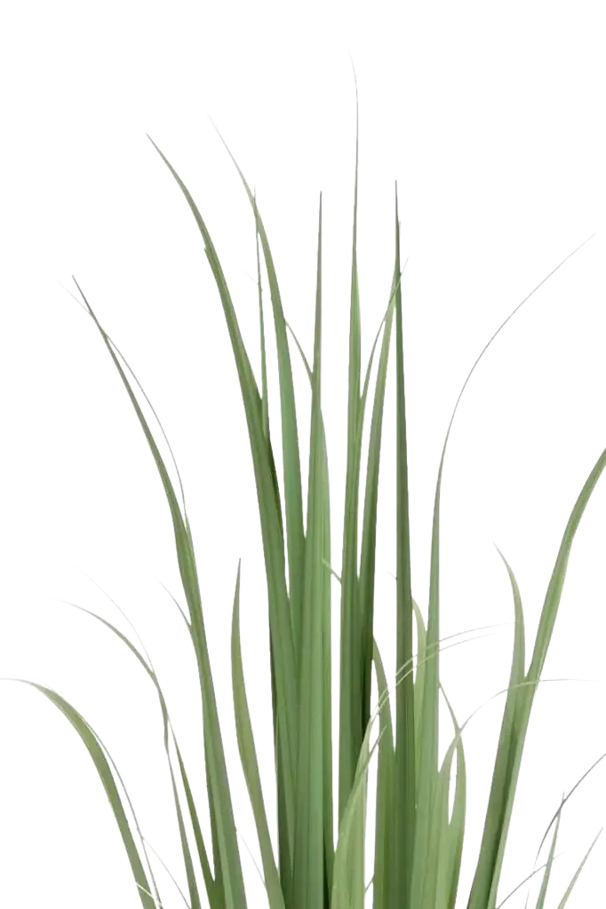 Künstliches Yucca Gras - Iva | 120 cm