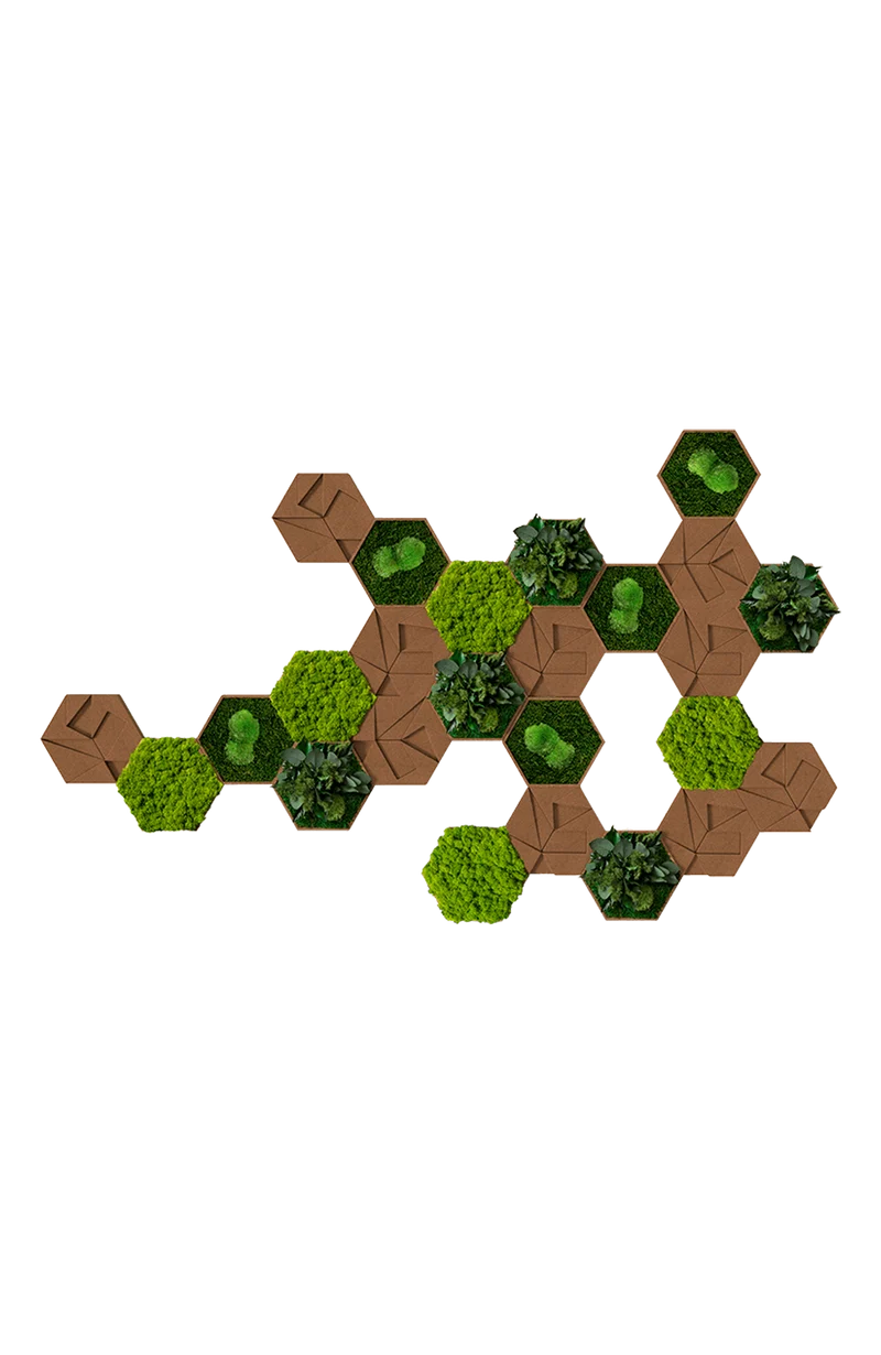 Kork-Hexagon Set, 25er Set