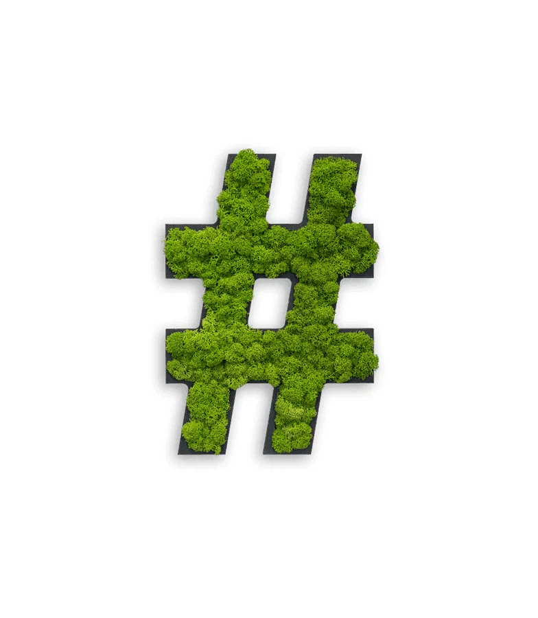 Islandmoos Piktogramm "Hashtag"