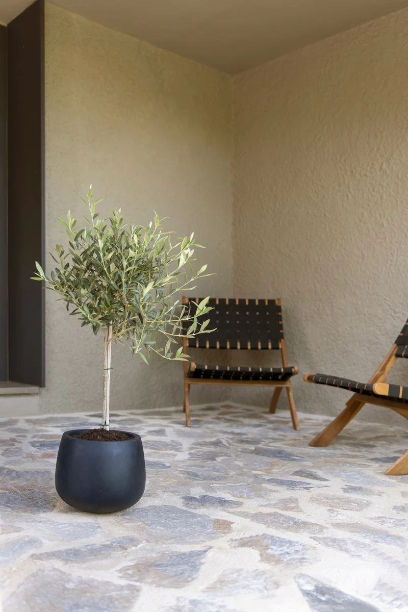 Übertopf Mini Pax Schwarz aus Fiberstone