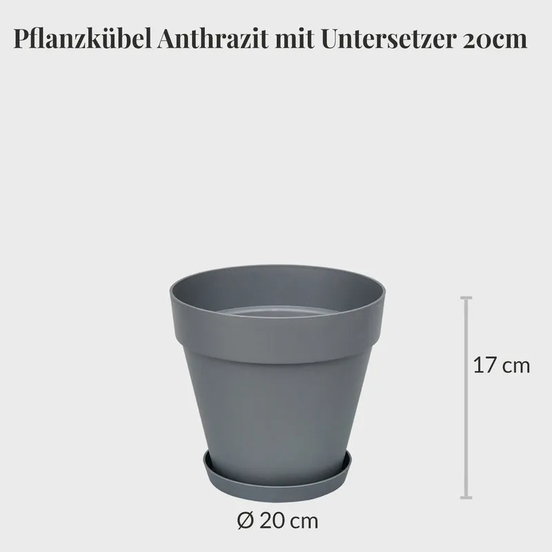3er Set Elho Loft Pflanzkübel mit Untersetzer 20cm mit Erde
