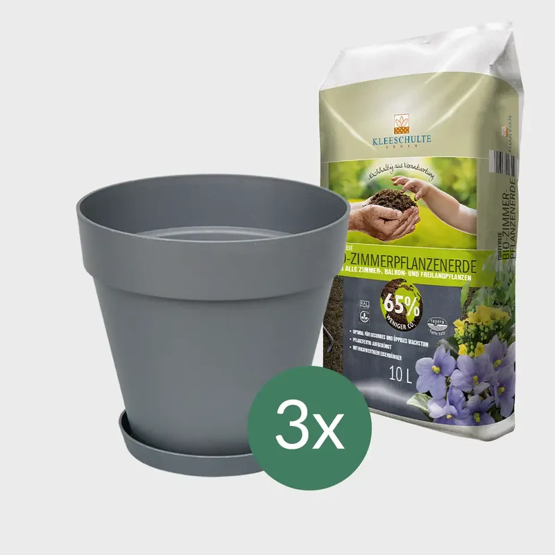 3er Set Elho Loft Pflanzkübel mit Untersetzer 20cm mit Erde