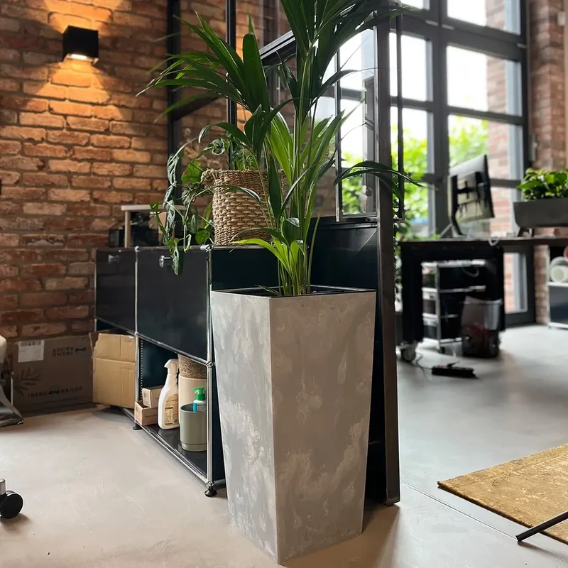 Vase Business Betoneffekt 61cm mit Blähton