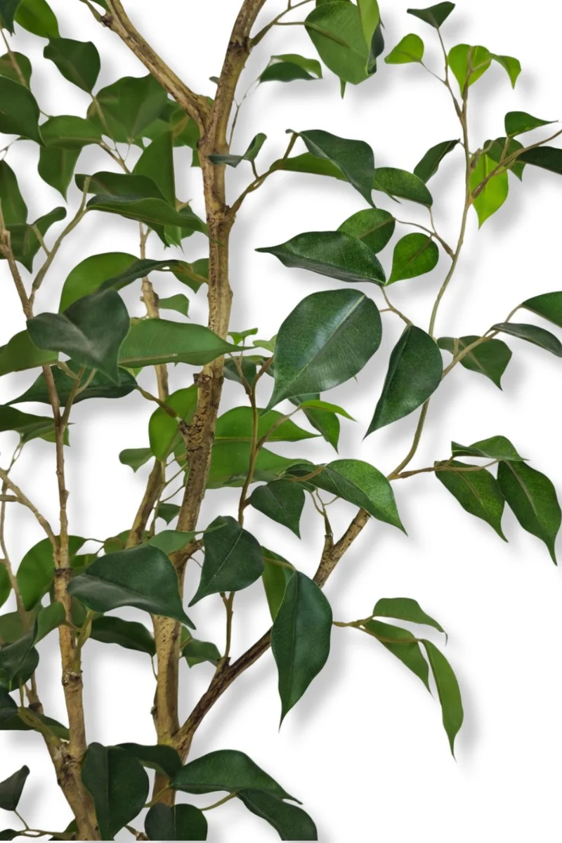 Ficus Kunstpflanze 180cm