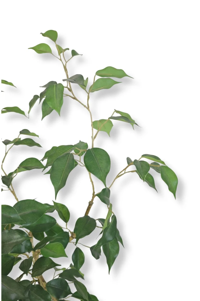 Ficus Kunstpflanze 180cm