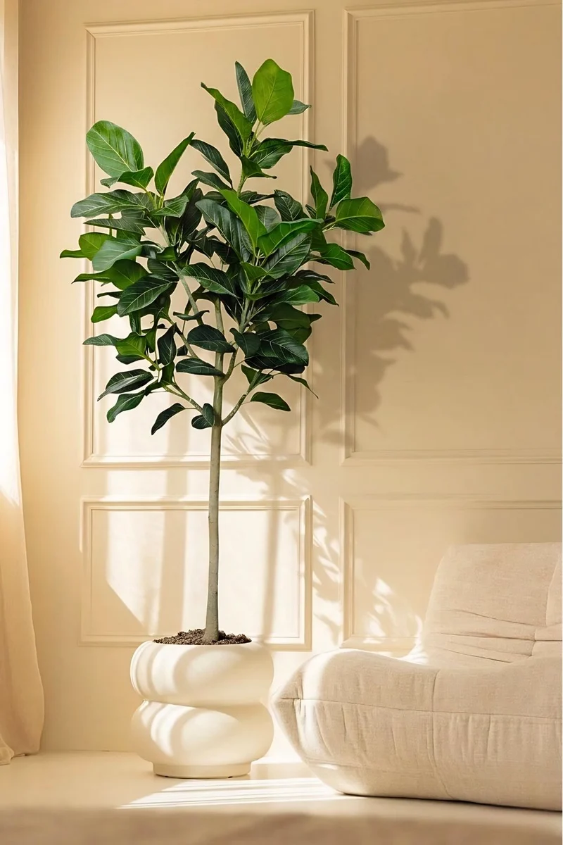 Ficus Audrey Kunstpflanze 210cm