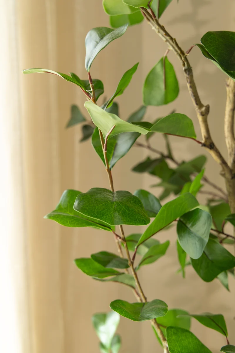 Ficus Triangularis Kunstpflanze 120cm