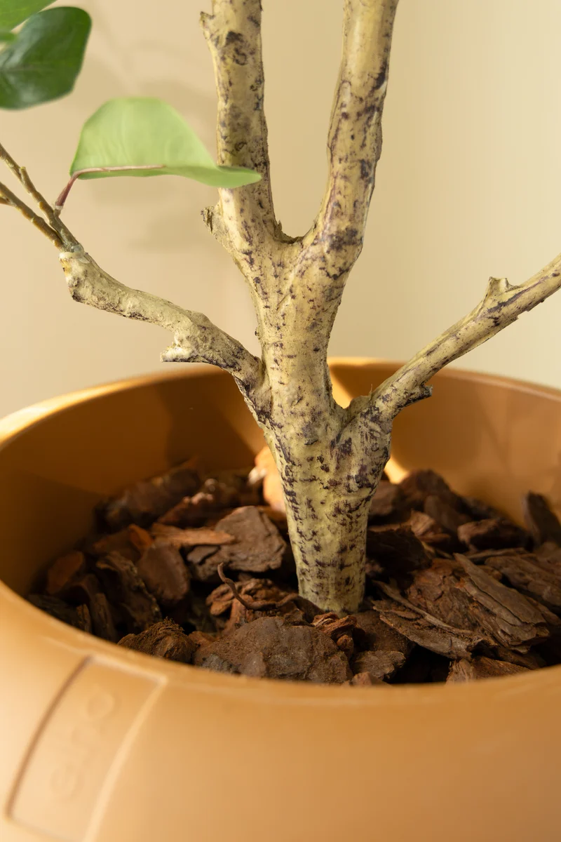 Ficus Triangularis Kunstpflanze 150cm