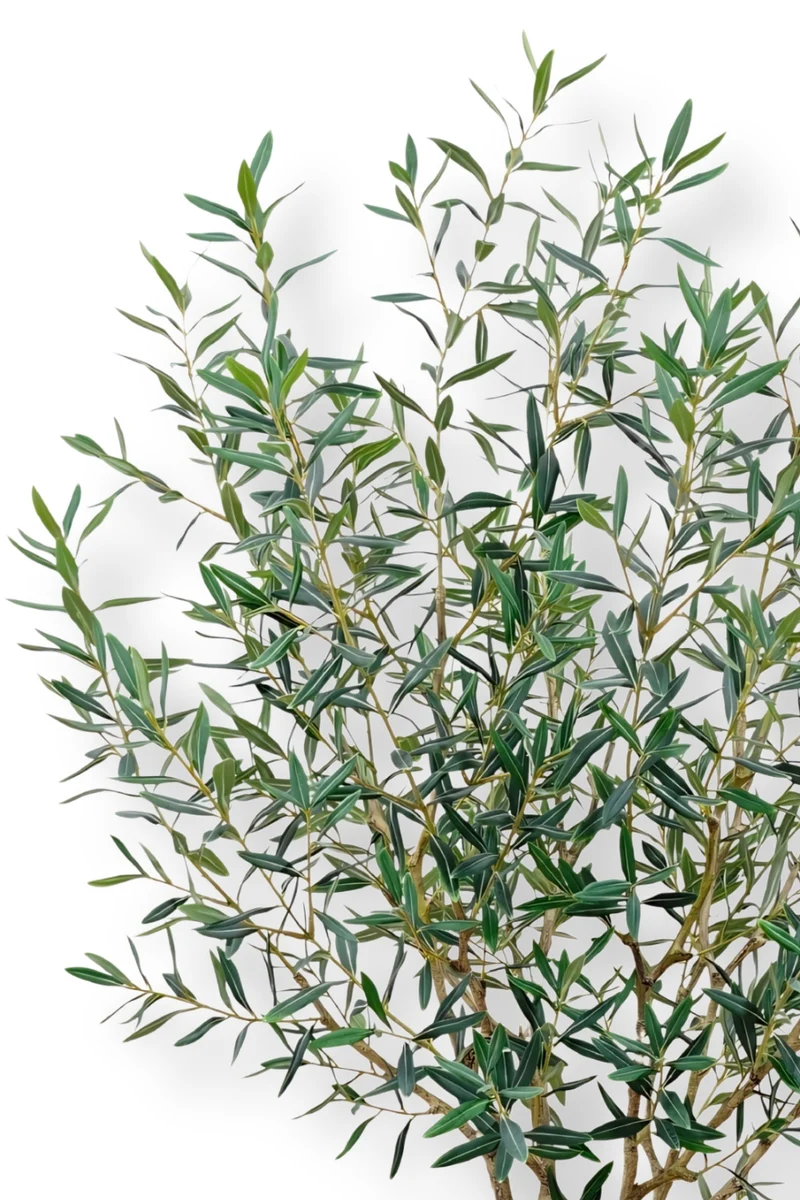 Künstlicher Olivenbaum 180cm