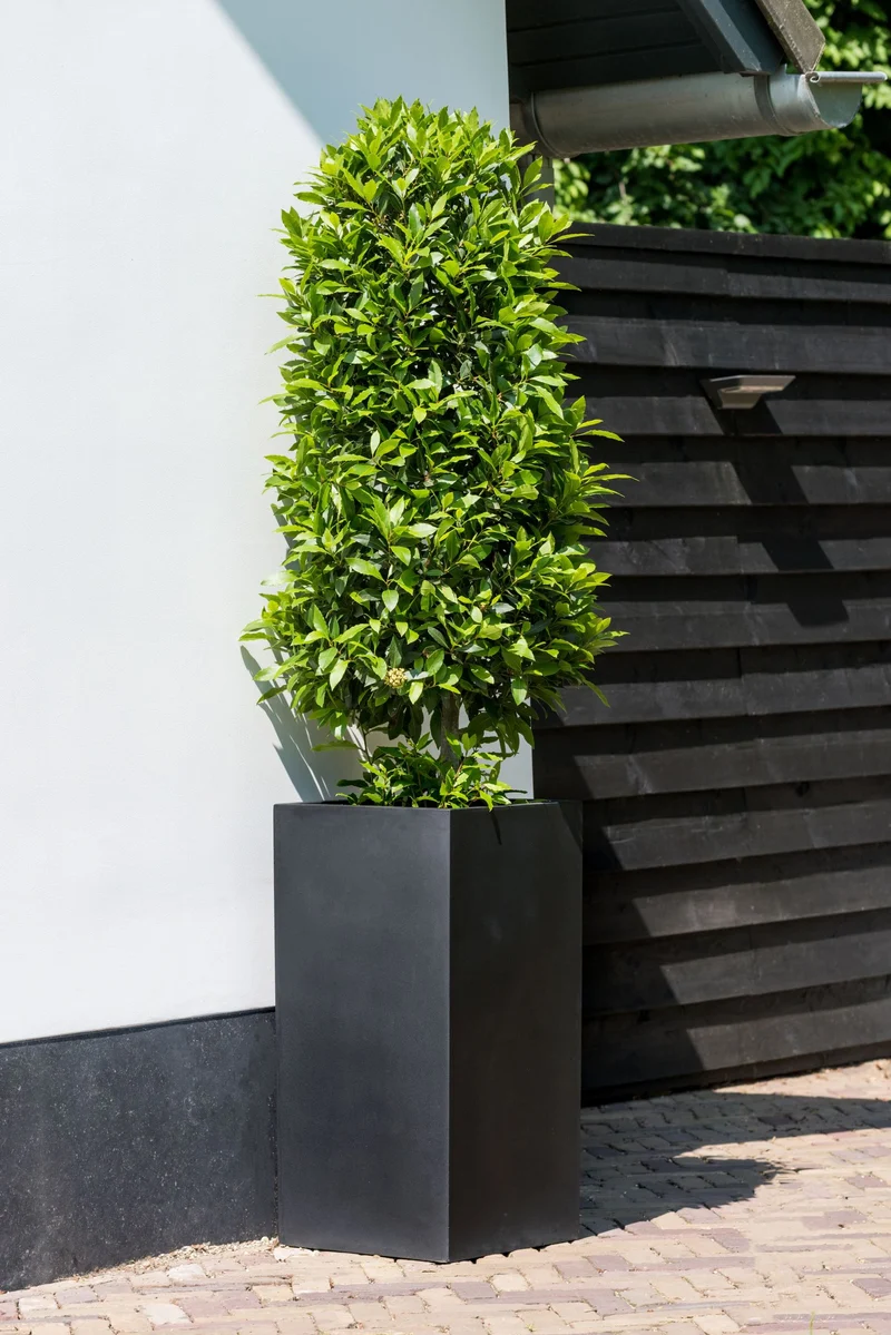 Pflanzsäule Bouvy Schwarz aus Fiberstone