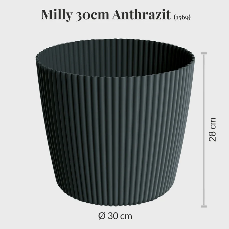 Milly 30cm
