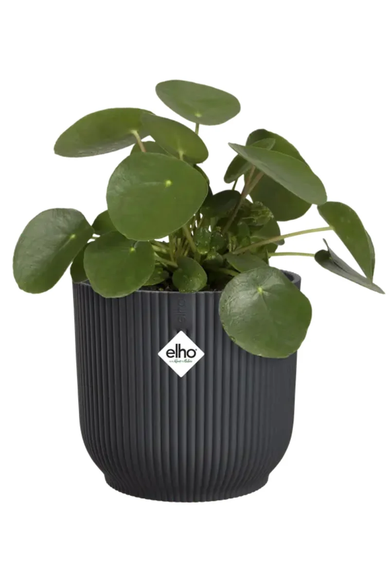 Blumentopf Elho Vibes Fold Rund 16 cm Anthrazit