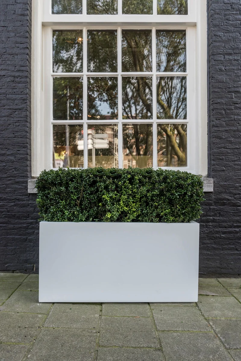 Rechteckiger Pflanzkübel Jort Matt Weiß aus Fiberstone