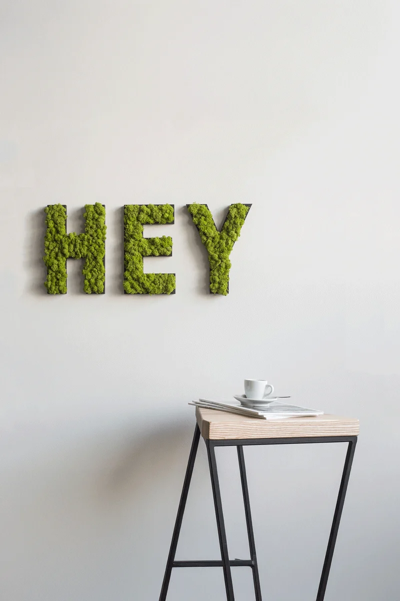 Islandmoos Piktogramm Buchstabe