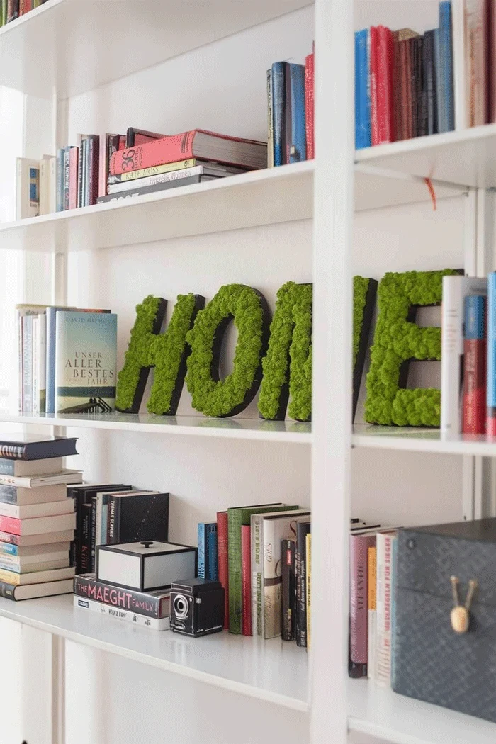 Islandmoos Piktogramm Buchstabe