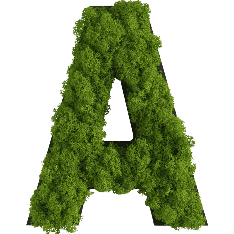 Islandmoos Piktogramm Buchstabe