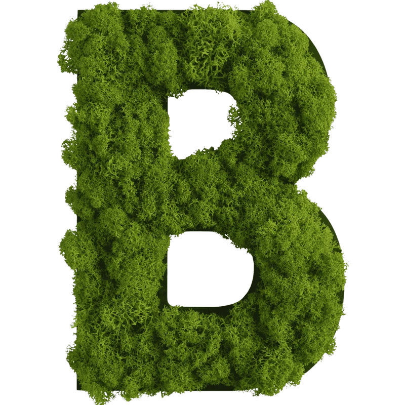 Islandmoos Piktogramm Buchstabe